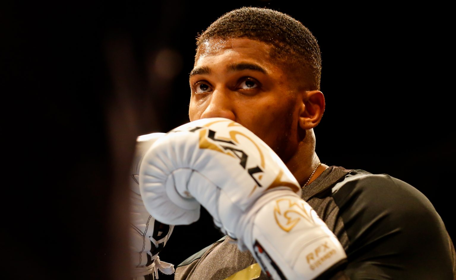 03-28-2018, Cardiff, Wales, UK. Anthony Joshua MBE during the public work out ahead of his fight with New Zealand Joe Parker St Davids Hall, Cardiff / Huw Fairclough / Shutterstock