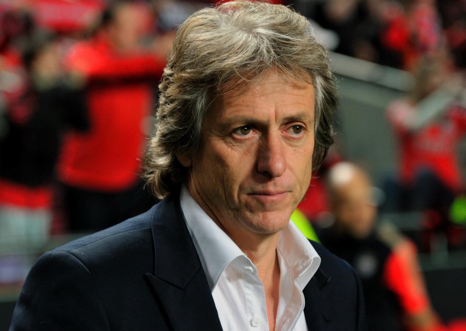 Jorge Jesus / Wikimedia Commons / Alface