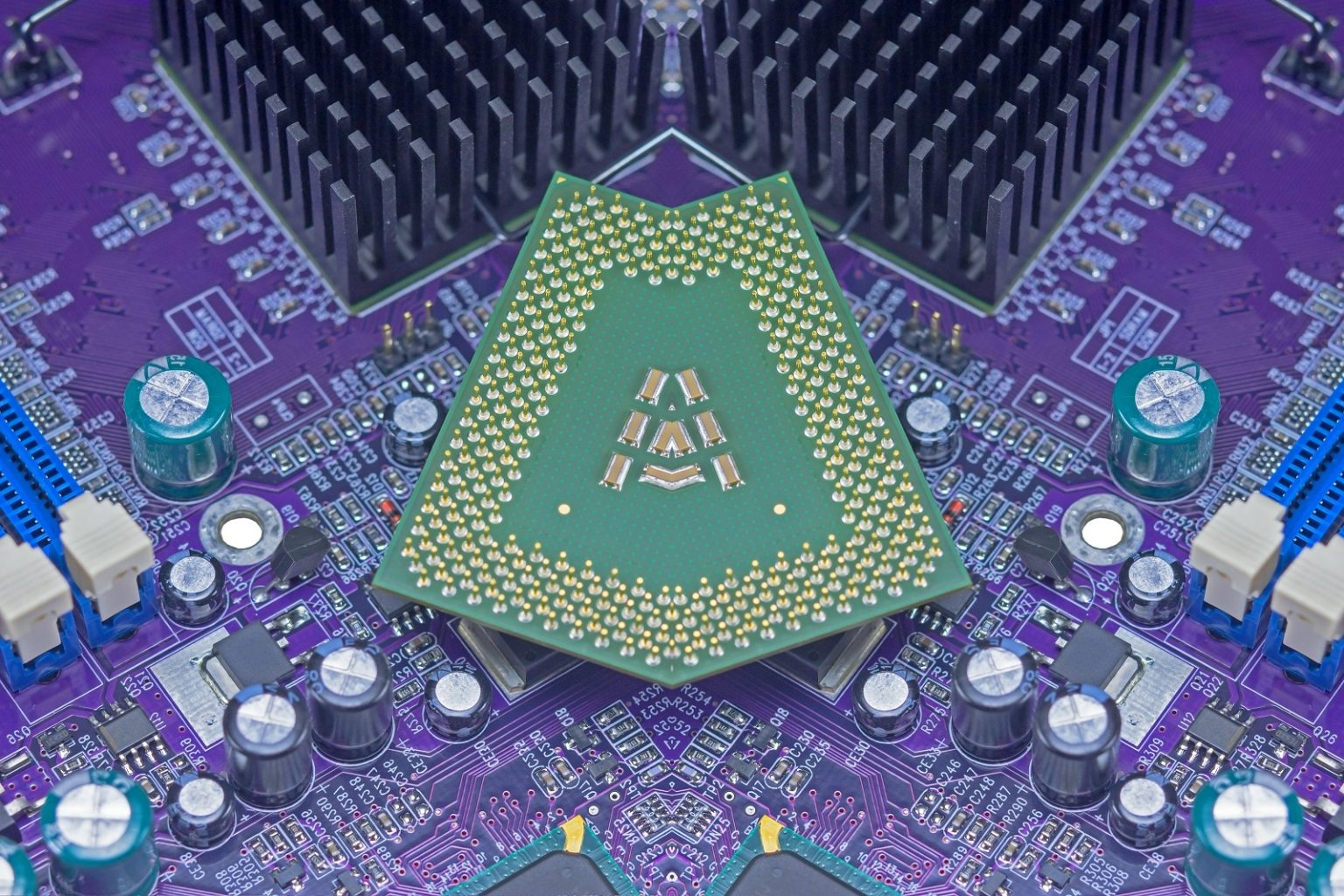 Macro View Of Cpu Pins And Circuit Mother Board/PedaltotheStock/Envato