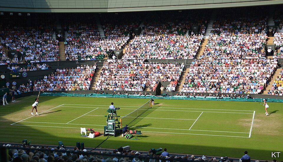 Serena Williams playing in Wimbeldon 2015 / Wikimedia Commons / Carine06