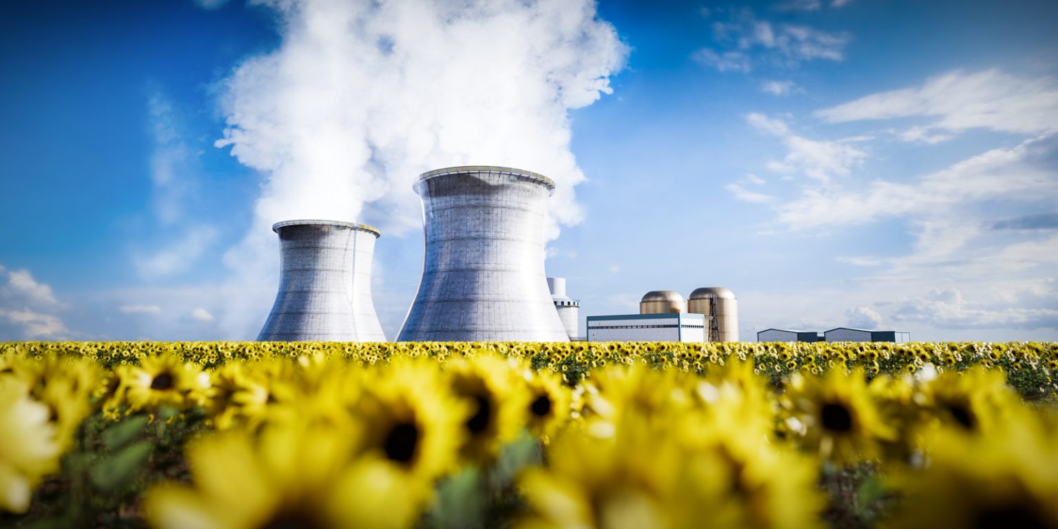 Nuclear Power Plant