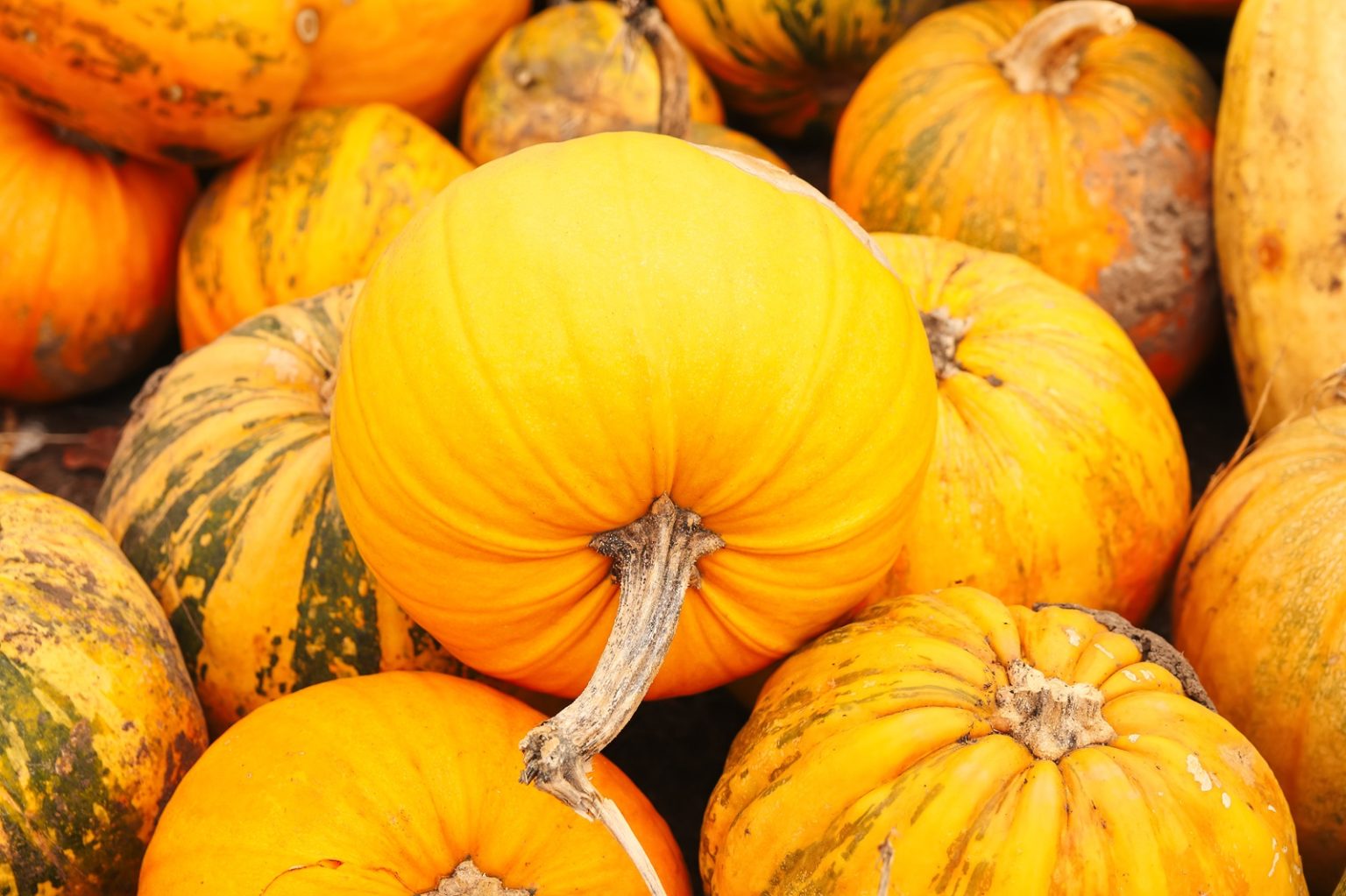 Pumpkins